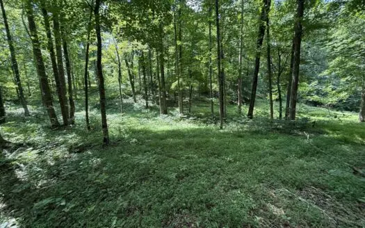 Building Lot Near Dale Hollow Lake