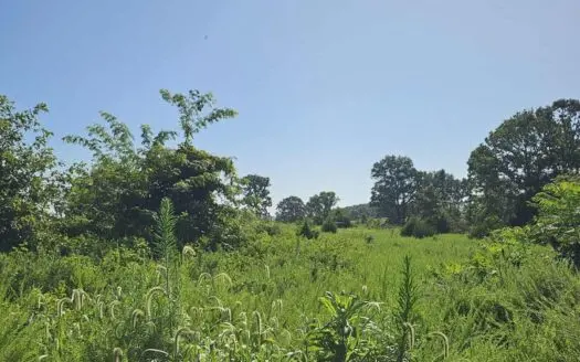Acreage in Gainesville MO – Ozarks Retreat Land Near Lake