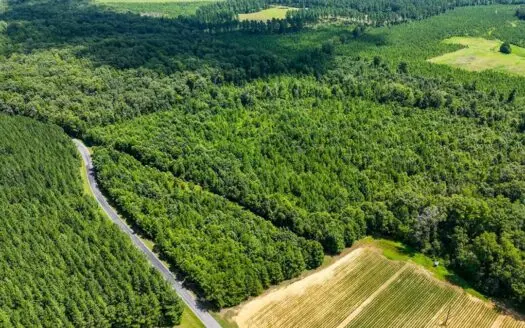 Build Your Dream Home on This Wooded Retreat in Rural Virginia