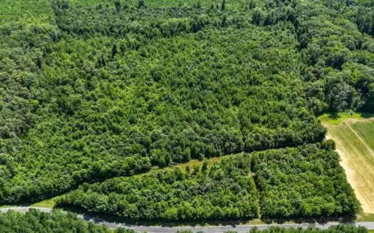 14± Wooded Acres with Road Frontage & Soil Study