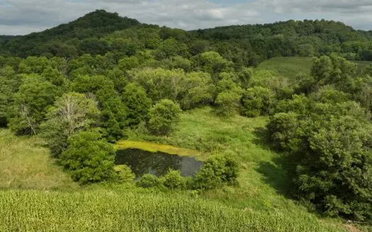 Land with Trout Stream for Sale in Richland County, Wisconsin