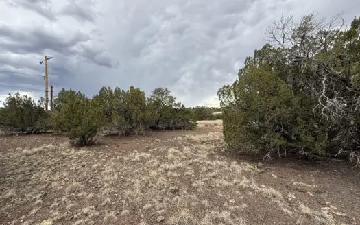 White Mountain Property with Lake Privileges and Owner Financing