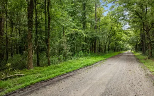 17 Acres of Hunting Land with Timber for Sale in Aurora, NC