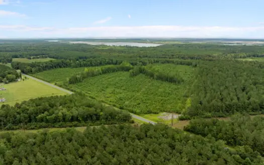 305 Acres Farmland & Timber with Hunting in NC