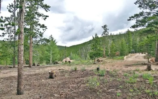 Beautiful Northern Colorado Lot with Views