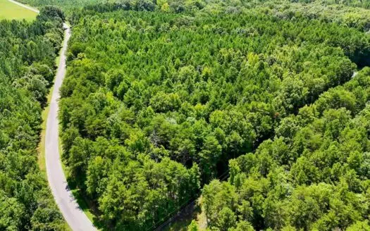 3.5± Acres with Road Frontage & Mature Woods in Nelson, VA