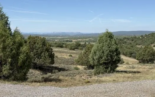 Land For Sale in Chama with no CCR’s, septic, power