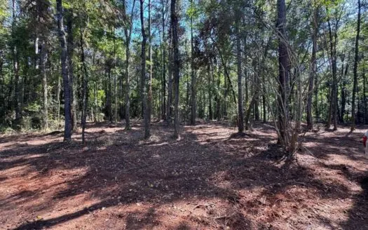 32 +/- Acres Near McComb, MS – Hunting, Timber, Homesite