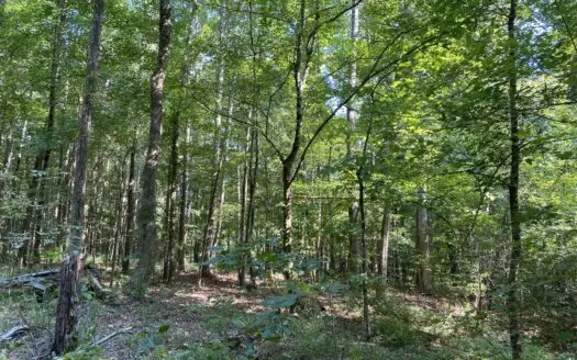 Land For Sale In Country Location In Mcnairy County, Tn