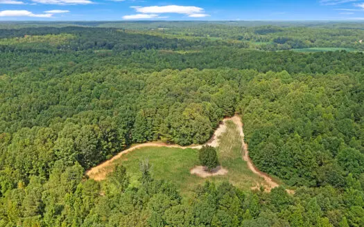 TN Hunter’s Paradise with Food Plots & Prime Wildlife Habitat