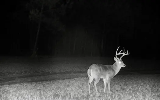 * Northeast MS HUNTING GETAWAY w/ CABIN & BARN built in 2022 *