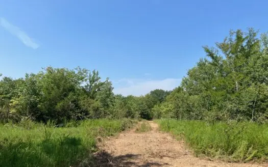 Land for Sale Talihina, Ok- Recreational Hunting Property OK