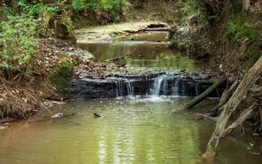 Catahoula 295 Acres – Enterprise, LA Hunting Land