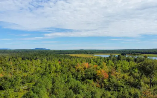 516 Acres Bordering State Wildlife Management Area