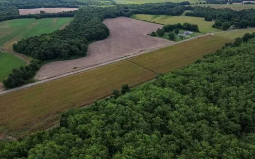 Tchula MS Delta 97 Acres for Sale