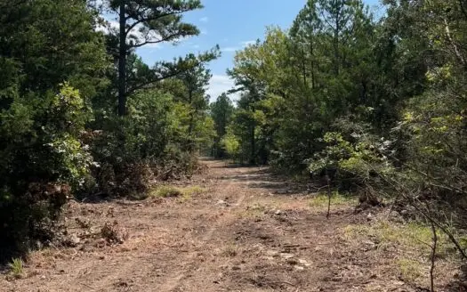 Mountain Hunting Land for Sale Talihina,Ok-Pushmataha County Land