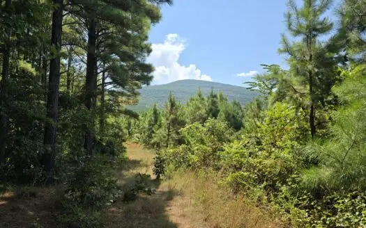 Timber Investment and Recreationa Property on Sugar Loaf Mountain
