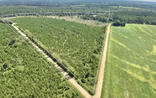 189 +/- acres South of Slocomb, AL with excellent access