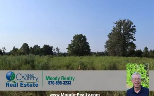Ozarks Land With Building Sites And Spring For Sale Near Salem Ar