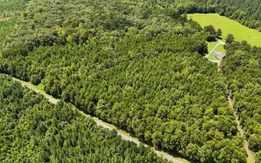 Private 9.5-Acre Wooded Parcel in Nelson, VA