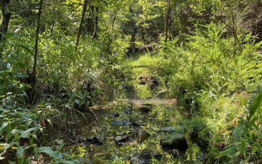 Land for Sale Talihina ,OK- Mountain Recreational Hunting Land