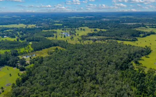 20 Acres for Sale in Madison, Florida