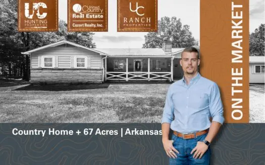 Country Home and Acreage for sale in Glencoe, Arkansas