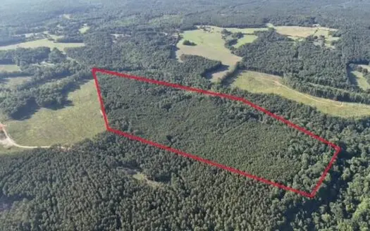 64.05 Acres located just 15 minutes from Lexington or Elberton.
