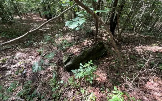 Holly Springs NF Property, Hickory Flat, MS