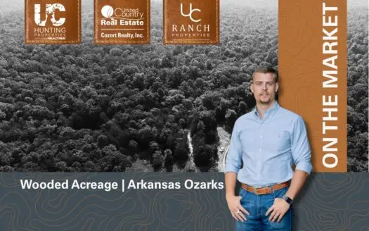 Wooded Acreage for sale in the Arkansas Ozarks