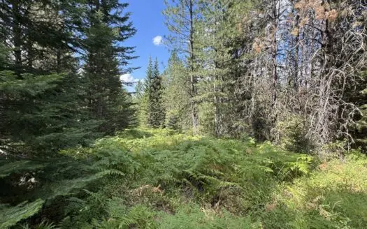 Land for Sale in Orofino, Idaho