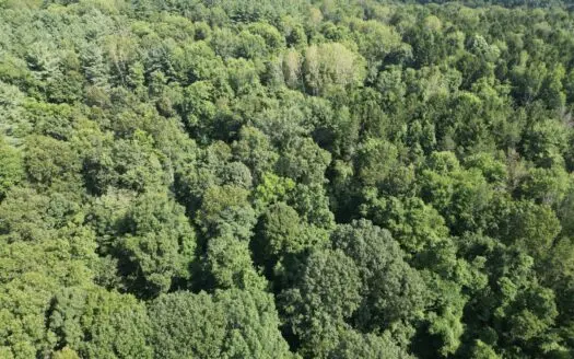 Secluded Hunting and Timberland Retreat in Central Ohio