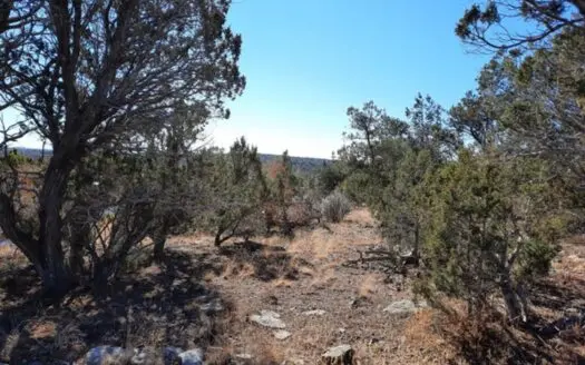 off grid 2 acre parcel in Northern AZ backing up to state land