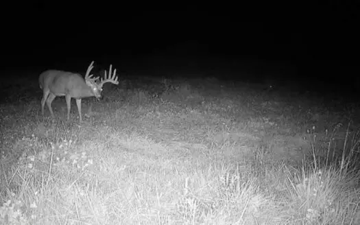 Monroe County, Iowa Hunting & Investment Farm