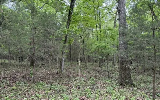 Hunting And Recreational Land For Sale In North Central Arkansas