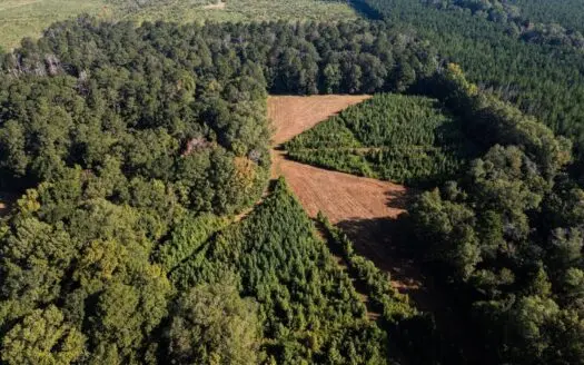 Cotton Creek 169 Acres for Sale in Amite County, MS