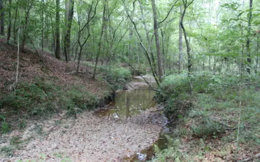 7.21 Wooded Acres with Creek For Sale Lincoln County Mississippi