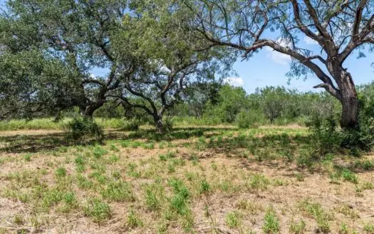 13.55 Acres for Sale Skidmore Texas- Bee County!!