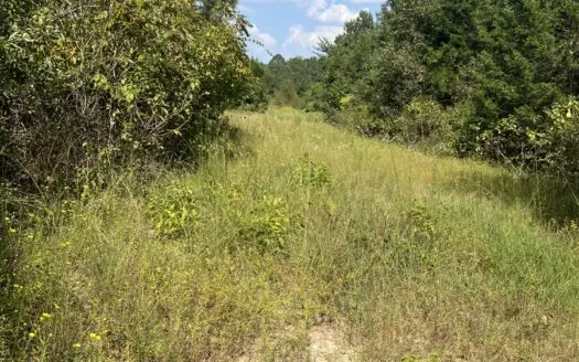 Escape to 9.6 Acres of Wooded Serenity in the Country