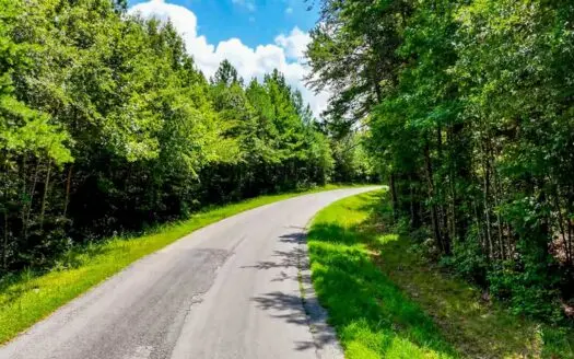 13.25± Acres with Privacy, Timber & Homesite Potential, VA