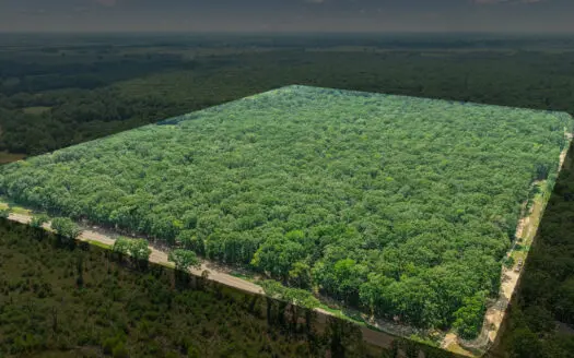 27± Acre Hunting & Homestead Tract – Bogata, Texas