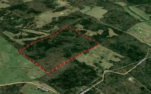 Secluded Timberland For Sale In North Central Arkansas