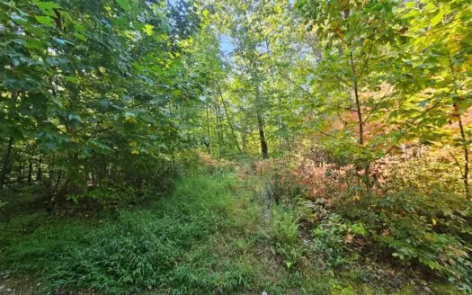 Land for Sale in Tazewell VA