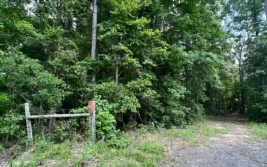 East Texas Recreational Property