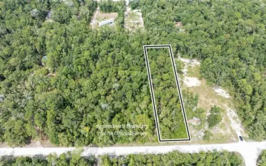 0.92-Acre Lot in Three Rivers Estates – Flood Zone X with POA Acc