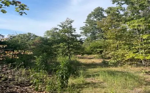 55 Acres Mountain Top With Spectacular Views