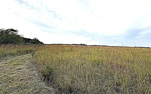 Stafford County KS Prime Hunting Property