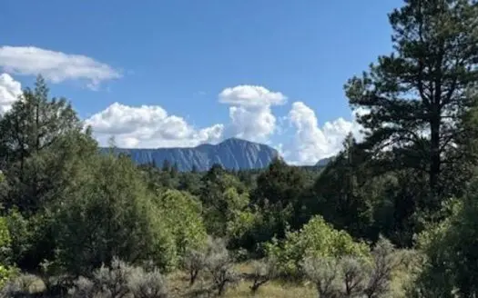 Mountain Land for Sale with Brazos Cliff Views