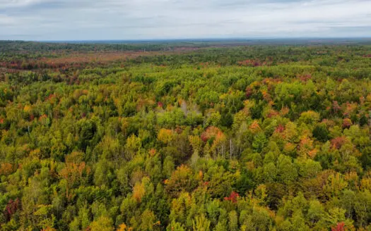 44.8 Acre Parcel in Greenbush, Maine