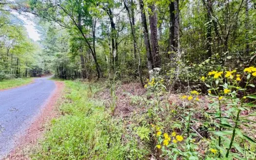 Land for Sale in Prentiss County MS Near Booneville and Marietta